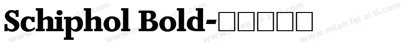 Schiphol Bold字体转换